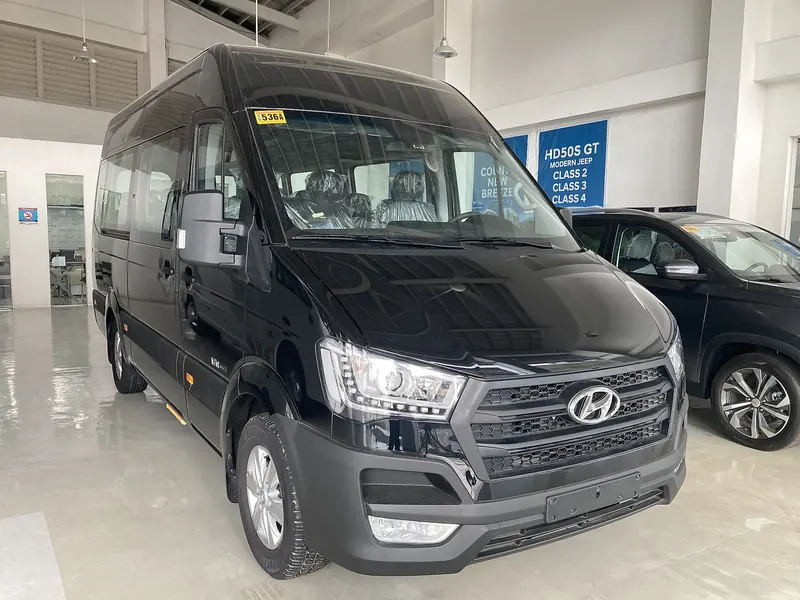 베트남 DCar Limousine 기사 포함 렌터카