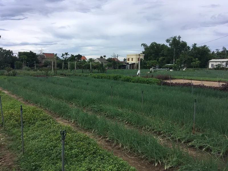 Agricultores por un día